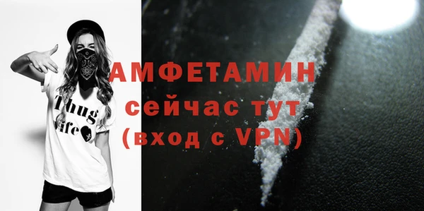 ГАЛЛЮЦИНОГЕННЫЕ ГРИБЫ Белокуриха