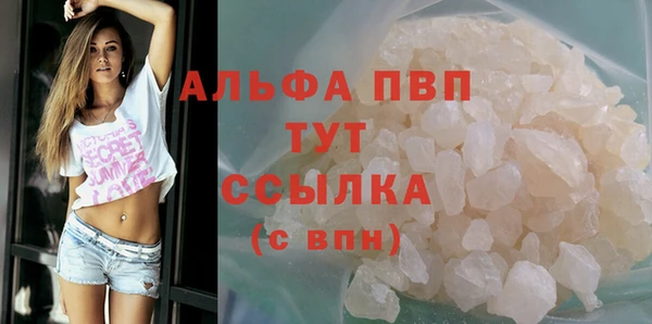 ГАЛЛЮЦИНОГЕННЫЕ ГРИБЫ Белокуриха