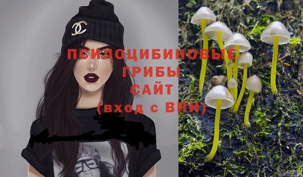 ГАЛЛЮЦИНОГЕННЫЕ ГРИБЫ Белокуриха