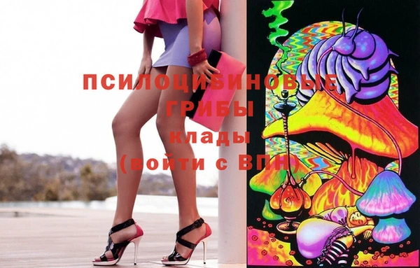 ГАЛЛЮЦИНОГЕННЫЕ ГРИБЫ Белокуриха