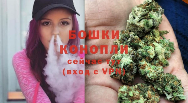 ГАЛЛЮЦИНОГЕННЫЕ ГРИБЫ Белокуриха
