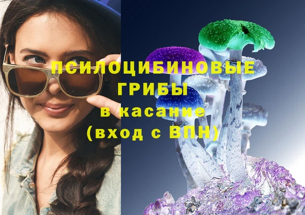 ГАЛЛЮЦИНОГЕННЫЕ ГРИБЫ Белокуриха