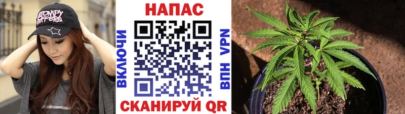 закладка  Котельниково  Бошки Шишки план 